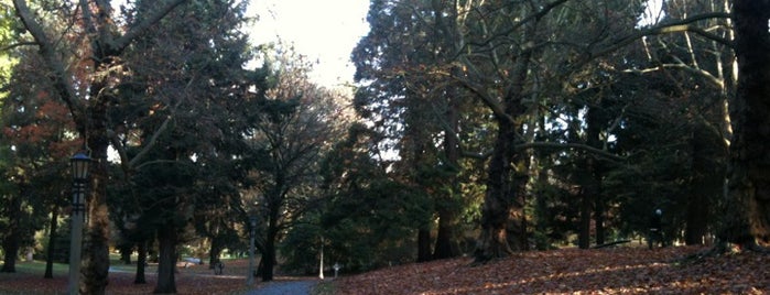 Laurelhurst Park is one of Great outdoor parks in Portland, OR.