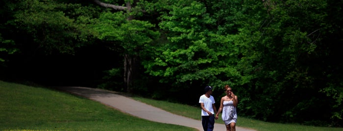 outdoors in Raleigh