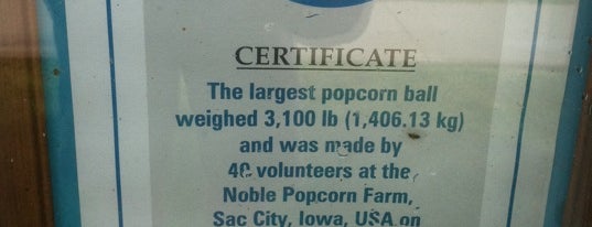 Worlds Largest Popcorn Ball is one of World's Largest ____ in the US.