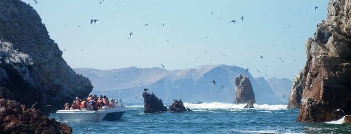 Reserva Nacional Islas Ballestas is one of Peru Backpacker.