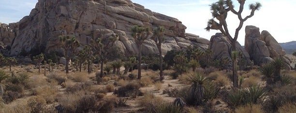 Joshua Tree National Park is one of Visit the National Parks.