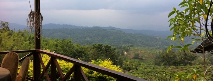 Sabah Tea Garden is one of Borneo.