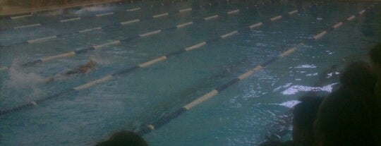 The Lab School Pool is one of Top DC Lap Pools.