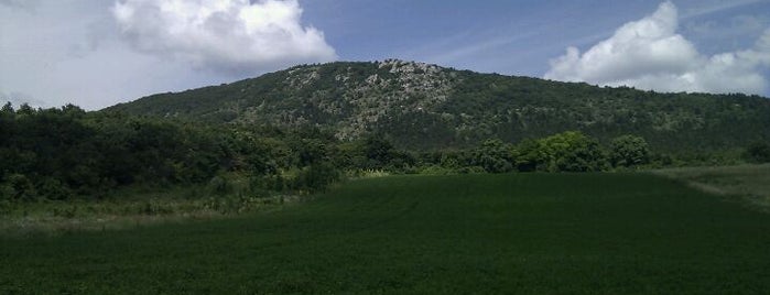 Pilisborosjenő is one of Lieux qui ont plu à Nikoletta.