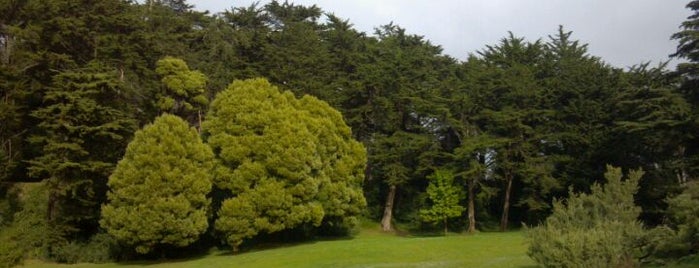 Golden Gate Park Mother's Playground is one of สถานที่ที่ Andrew ถูกใจ.