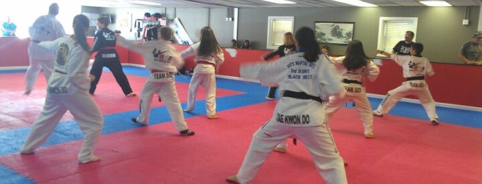 Seo's Martial Arts schools