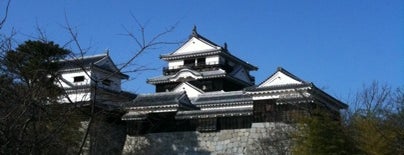 Matsuyama Castle is one of 日本100名城.
