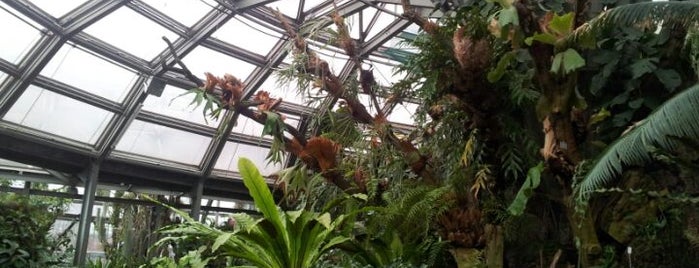 Botanisches Museum is one of museum/sightseeing.