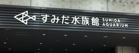 すみだ水族館 is one of 水族館（らしきものも含む）.