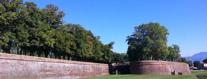 Walls of Lucca is one of Best of Tuscany, Italy.