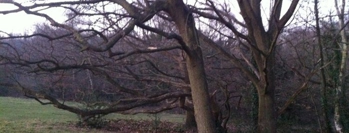 Hampstead Heath is one of Local Stuff - Palmers Lodge Swiss Cottage.