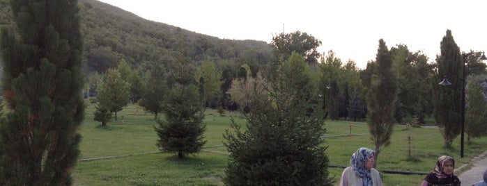 Kuğulu Park is one of Orte, die Metin gefallen.