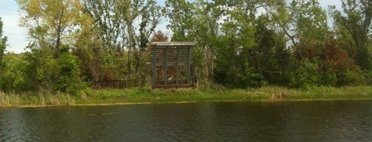 Trinity River Audubon Center is one of ILiveInDallas.com's 25 Mantastic Things to Do.