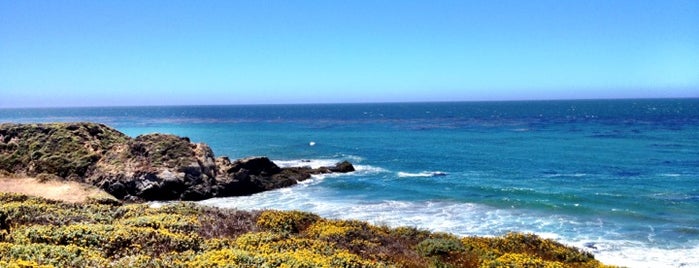 Highway 1 - Carmel / Big Sur is one of Divyaさんのお気に入りスポット.