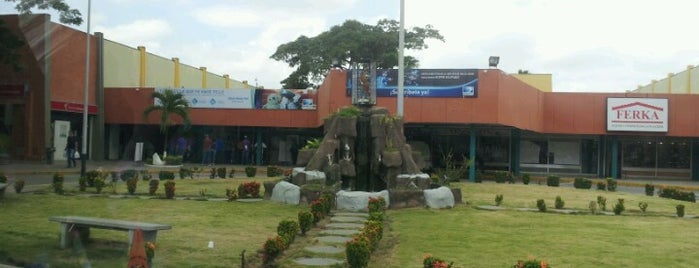 IPSFA is one of Maracay Places.