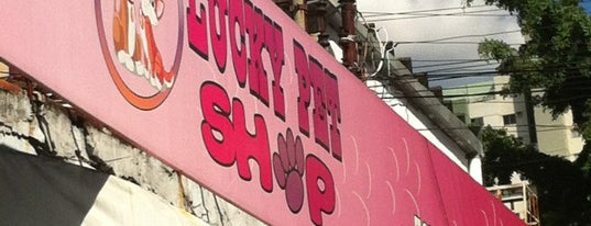 Lucky Dog Pet Shop is one of TimBeta.