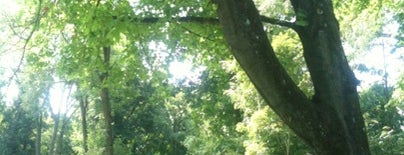 Englischer Garten is one of drupalcon.