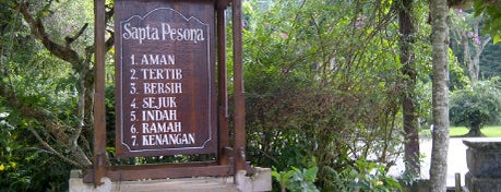 Sangeh Monkey Park is one of Bali, Island of the gods.