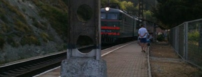 Ж/Д платформа Спутник is one of Вокзалы и станции Сочи.