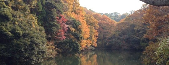 散在ガ池森林公園 is one of 鎌倉避暑SPOT.