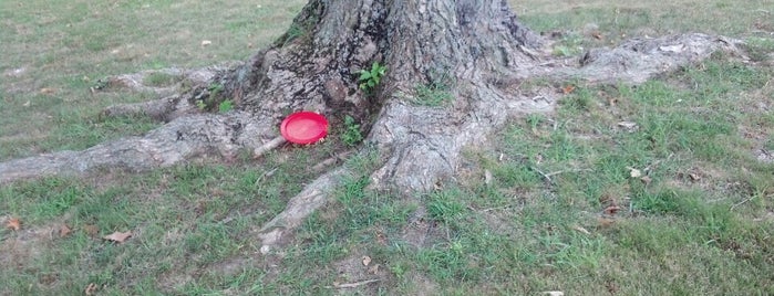 Kiwanis Disc Golf Course at Montgomery Hall Park is one of Sports.