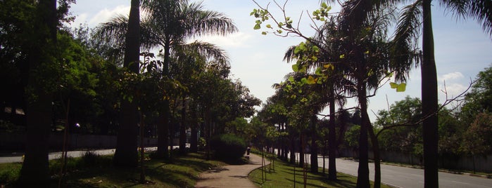 Avenida Braz Leme is one of Lugares que gosto.