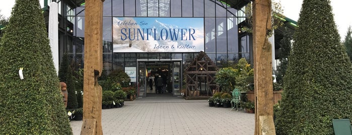 Sunflower is one of Frankfurt stores.