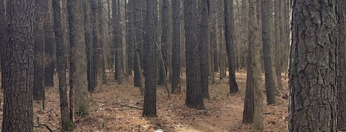 Brumley Nature Preserve is one of Parks & Nature Preserves.