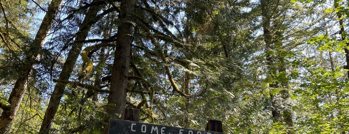 Wallace Falls State Park is one of Seattle.
