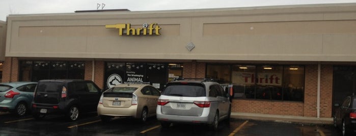 Best Thrift and Consignment Shops