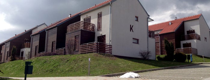 Spa & Golf Resort Sveti Martin (Toplice Sveti Martin) is one of Damir posao.