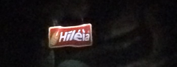 Hiléia Alimentos is one of Turimo em Belem.