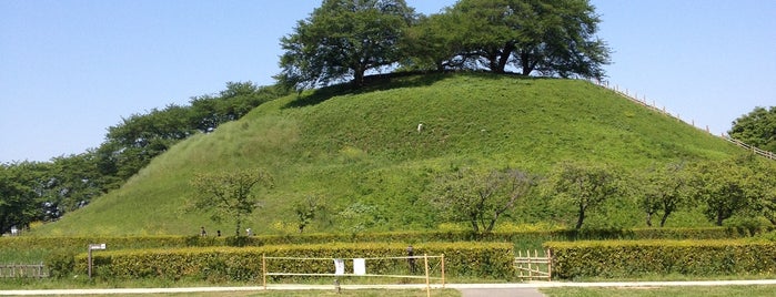 Sakitama Kofun Park is one of Masahiro 님이 좋아한 장소.