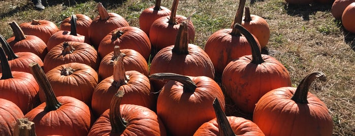 Outhouse Orchards Corn Maze is one of Lugares favoritos de Lee.