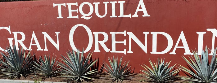 Tequila Orendain is one of Moni’s Liked Places.