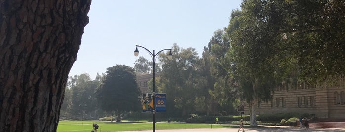 UCLA Student Activities Center Pool is one of Los Angeles.