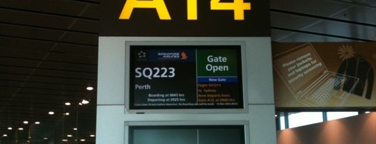 Gate A13 is one of SIN Airport Gates.