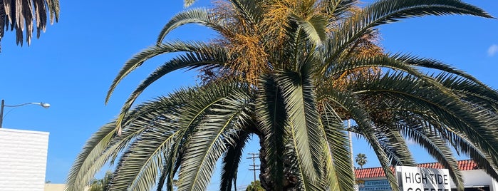 High Tide Coffee is one of san clemente.