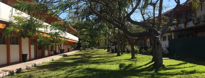 Centro Universitario de la Costa (CUC) is one of Vallarta.