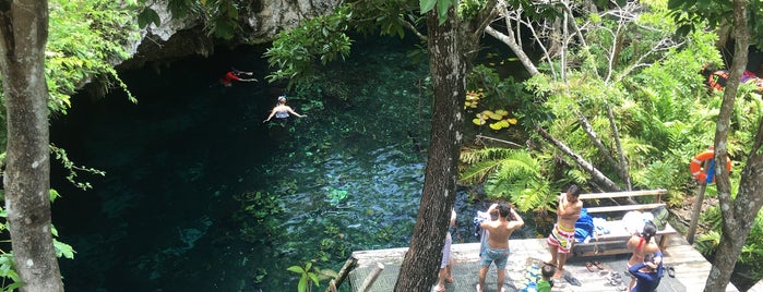 Gran Cenote is one of Cenotes Riviera Maia.