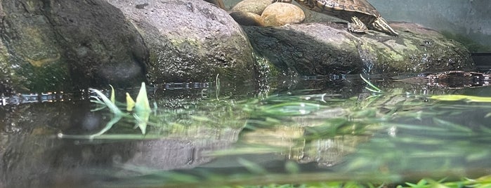 Reptile House is one of San Diego.