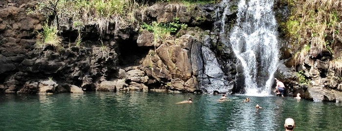 Waimea Valley Waterfall is one of Eric's Oahu Favorites.