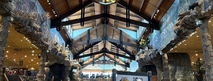 Bass Pro Shops is one of Man Stores.
