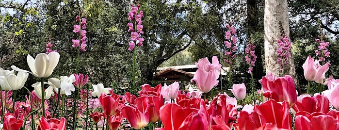 Descanso Gardens is one of LOS ANGELES!!.