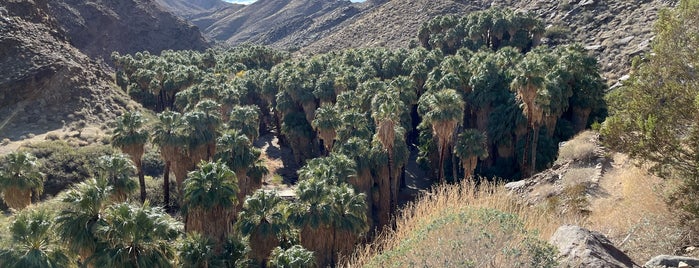 Palm Canyon Trails is one of PSP.