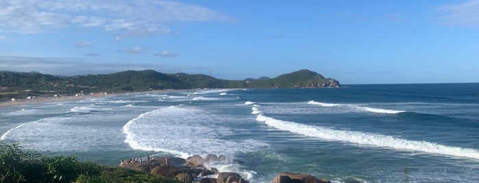 Praia do Rosa is one of South America.