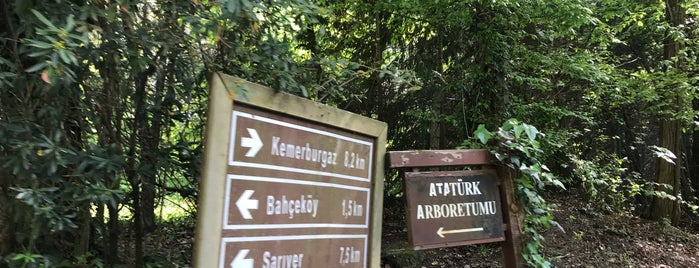 Atatürk Arboretumu is one of Tempat yang Disukai Aylin.