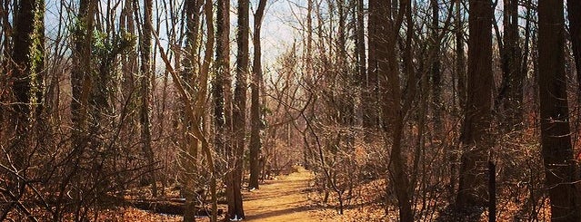 Glover-Archbold Park is one of Lugares favoritos de Jana.