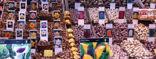 Flower Market is one of Places in Amsterdam.