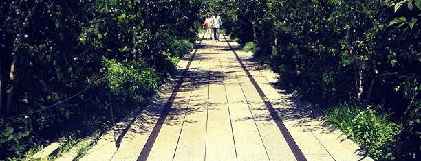 High Line is one of Favourite Places in NYC.